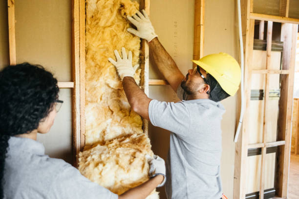 Professional Insulation Services in Shrub Oak, NY